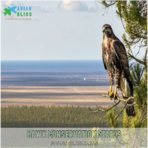 Hawk Conservation Status