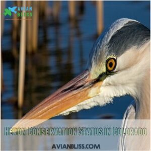 Heron Conservation Status in Colorado