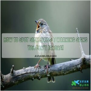 how to spot sick birds