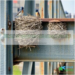 Human Structures and Bridge Nesting