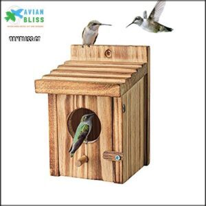 Humming Bird Houses for Outdoor