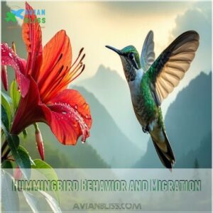 Hummingbird Behavior and Migration