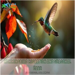 Hummingbird Migration and Seasonal Care