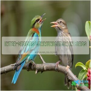 Inter-Species Communication in Birds