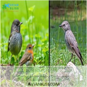 Invasive Bird Species and Conservation Efforts