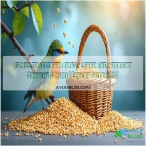 is millet good for birds learn the nutrient content more