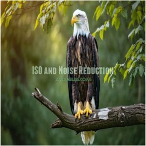 ISO and Noise Reduction