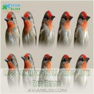 Less Common Small Birds With Red Heads