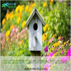 Maintaining and Enjoying Birdhouses