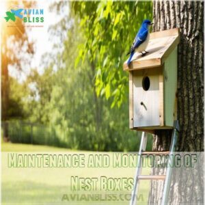 Maintenance and Monitoring of Nest Boxes