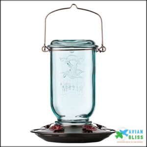 More Birds Mason Jar Hummingbird