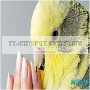 Nail Trimming and Grooming Needs