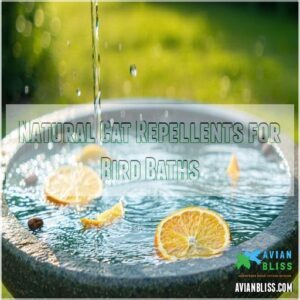 Natural Cat Repellents for Bird Baths