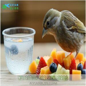 Nutrition for Sick Birds