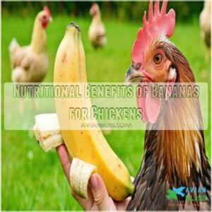 Nutritional Benefits of Bananas for Chickens