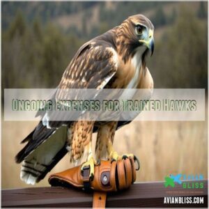 Ongoing Expenses for Trained Hawks