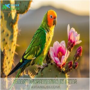 Parrot Conservation in Texas