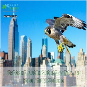 Peregrine Falcon: Nature's Speed Demon Breaking World Records!