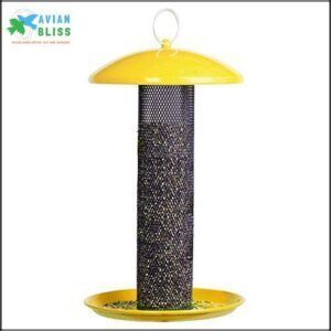 Perky-Pet YSSF00347 Shorty Finch Bird B07FQD5HR6