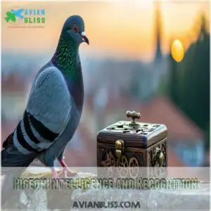 Pigeon Intelligence and Recognition