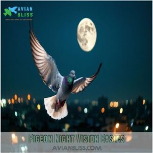 Pigeon Night Vision Basics