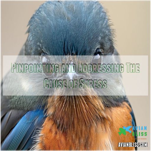 Signs of Stressed Birds: 10 Warning Signs You Can't Ignore!