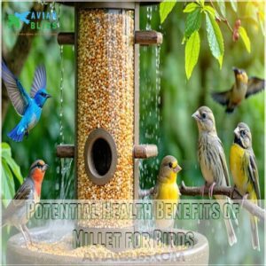 Potential Health Benefits of Millet for Birds