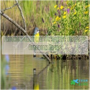 Prothonotary Warbler Rare Visits to Riparian Areas