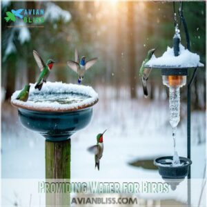 Providing Water for Birds