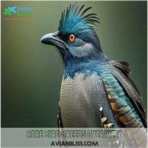 Rare Bird Breeds Overview