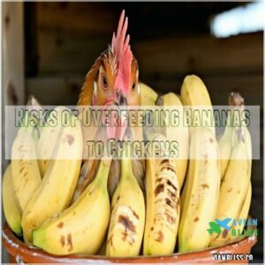 Risks of Overfeeding Bananas to Chickens