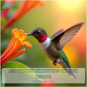 Ruby-throated Hummingbirds: Tiny Green Migrants