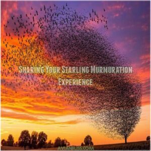 Sharing Your Starling Murmuration Experience