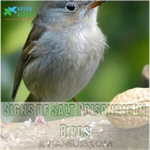 Signs of Salt Poisoning in Birds