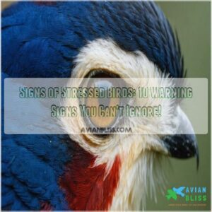 signs of stressed birds behaviors