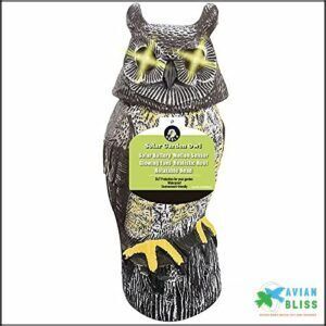 Solar Powered Owl with Motion B08XZLVQS7