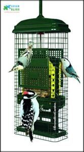 Squirrel Buster Suet Squirrel-proof Suet