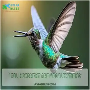 Tail Movement and Vocalizations