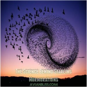 The Science Behind Starling Murmurations