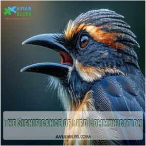 The Significance of Bird Communication