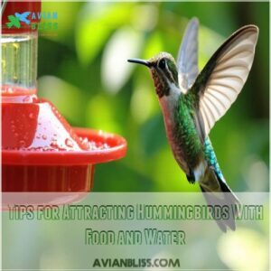 Tips for Attracting Hummingbirds With Food and Water