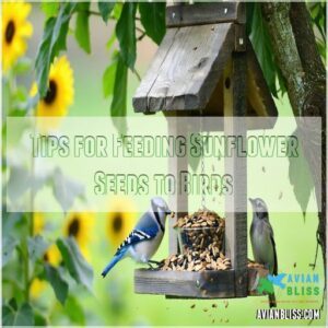 Tips for Feeding Sunflower Seeds to Birds