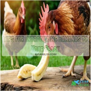 Tips for Introducing Bananas to Your Flock