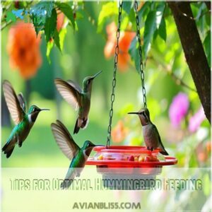 Tips for Optimal Hummingbird Feeding