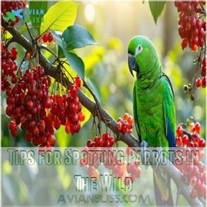 Tips for Spotting Parrots in The Wild