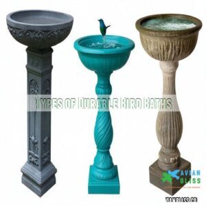 Types of Durable Bird Baths