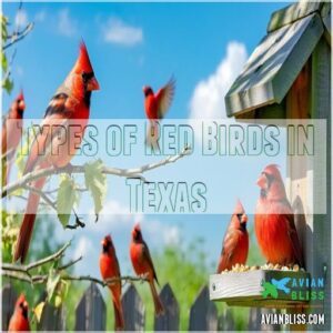 Types of Red Birds in Texas