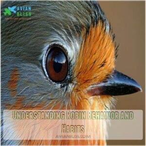 Understanding Robin Behavior and Habits