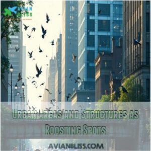 Urban Areas and Structures as Roosting Spots