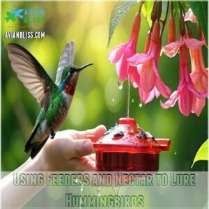 Using Feeders and Nectar to Lure Hummingbirds